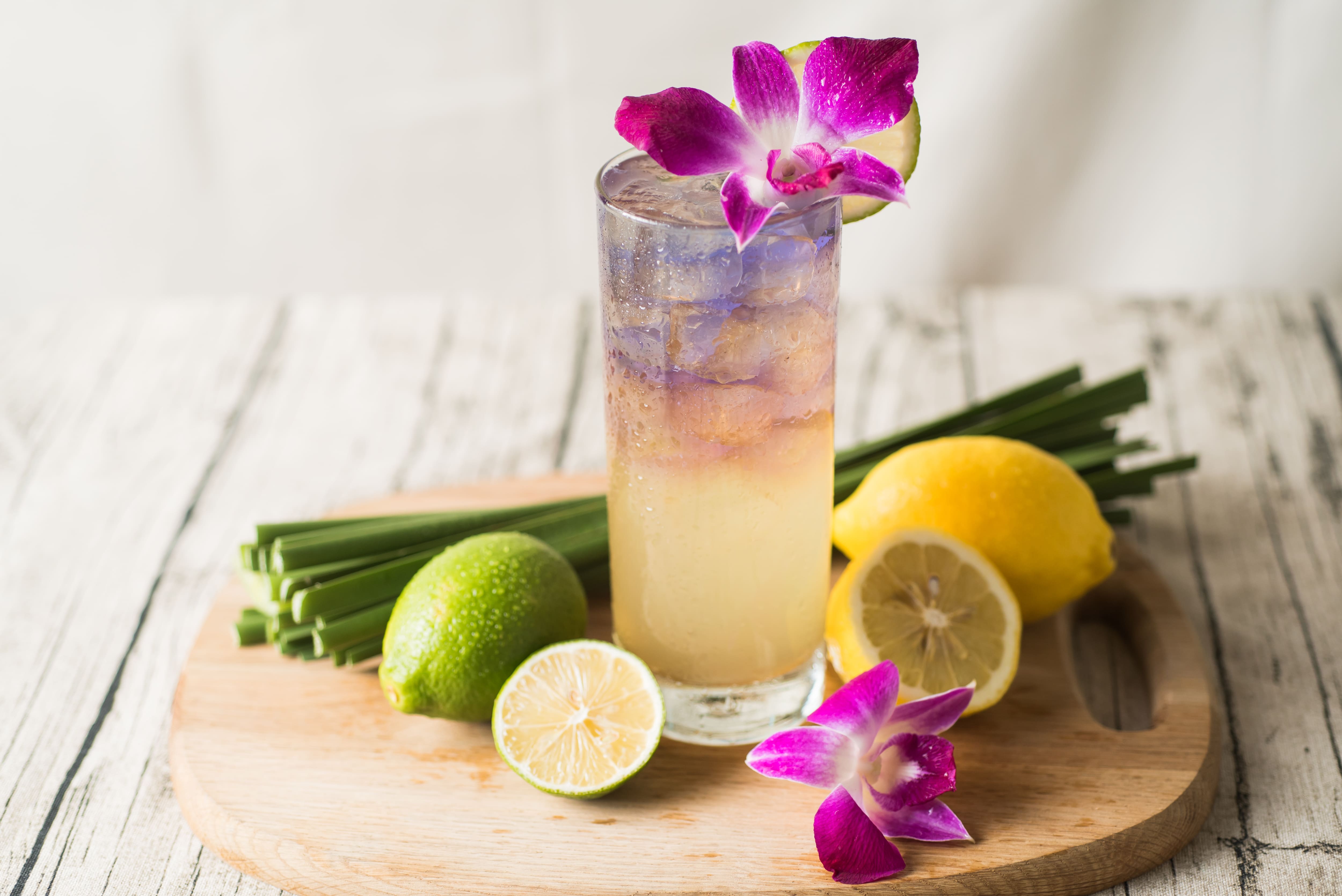 蝶豆花飲品調製